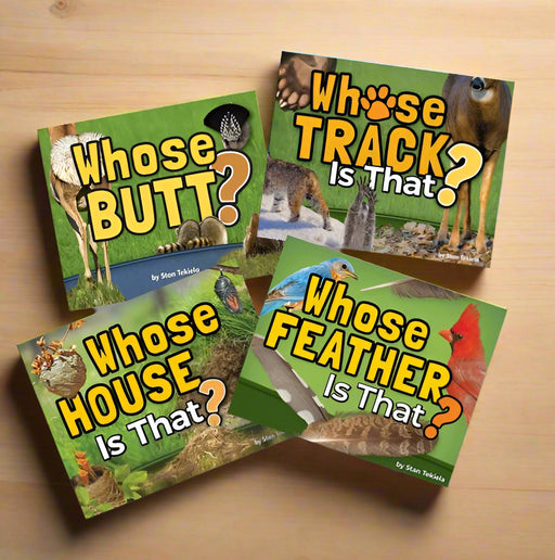 Four children's books on a wooden background