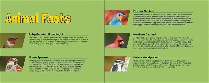Educational brochure about animal facts with images of birds on a green background