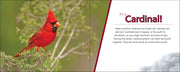 Red cardinal bird on a branch with text about cardinals