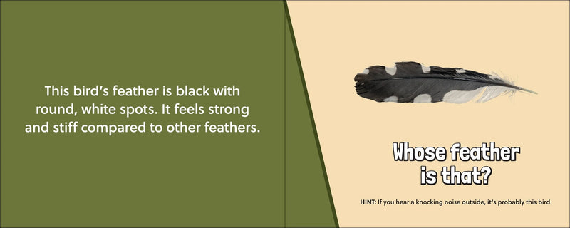 Black feather with white spots on a beige background, accompanied by text and a question.