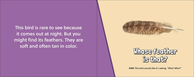 Feather on a beige background with text about a rare bird