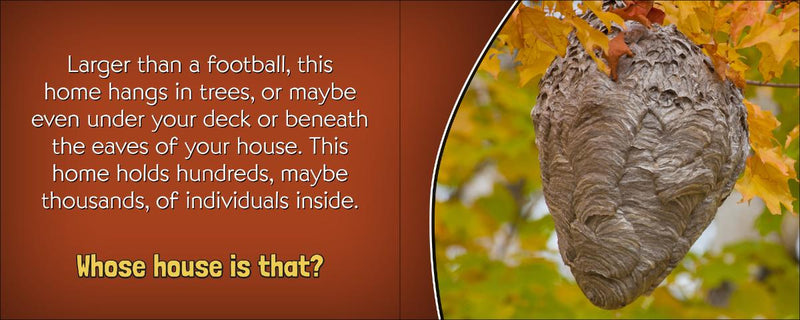 Wasp nest with text about its size and location