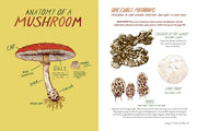 Text and illustrations on mushrooms