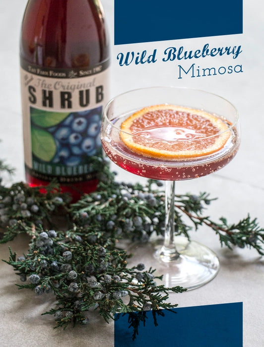 Wild Blueberry Shrub drink recipe idea