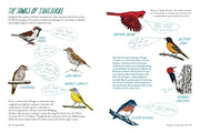 Text and illustrations on songbird