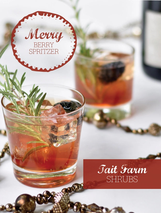 Wild Blueberry Shrub drink recipe idea