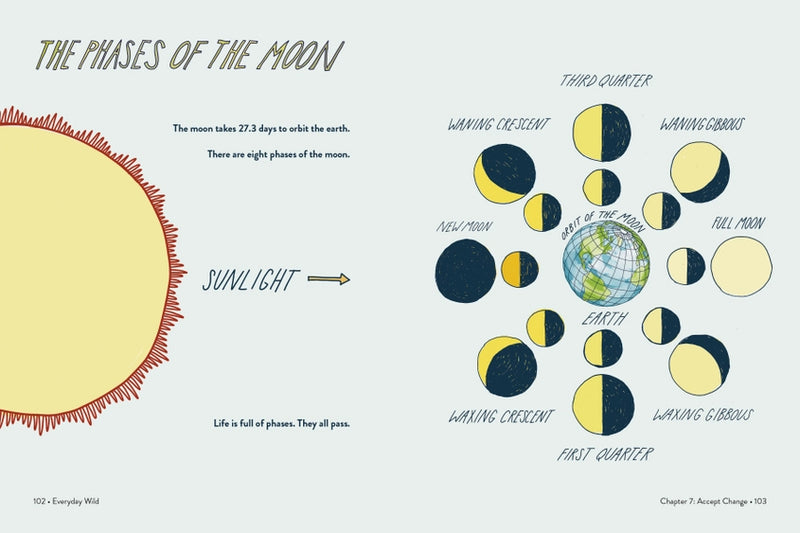 text and illustrations on the phases of the moon