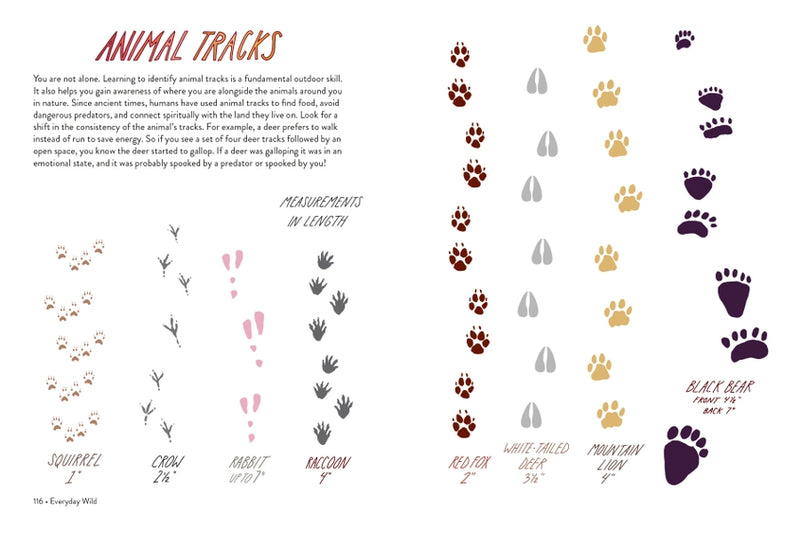 text and illustrations on animal tracks