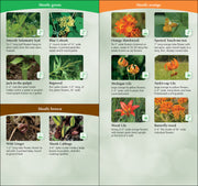 Floral identification chart with images and descriptions of various plants.