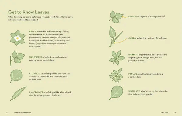 How to Forage for Wild Foods without Dying
sample page