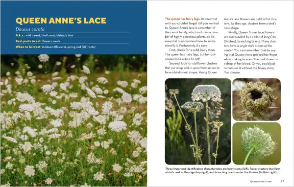 How to Forage for Wild Foods without Dying
sample page