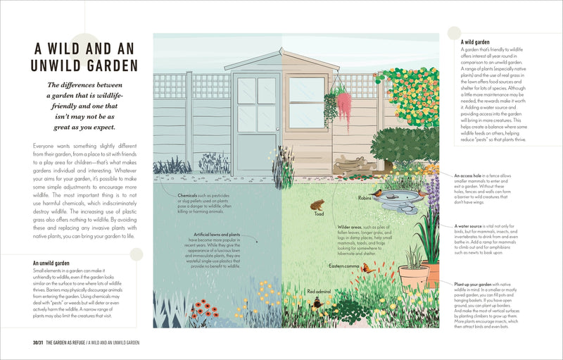 text and photos about a wild and an unwild garden
