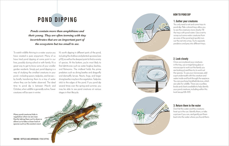 text and illustrations about pond dipping