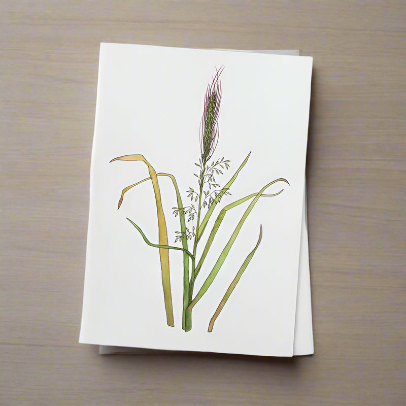 Wild rice botanical art on 5 x 7 card with envelope on natural wood background