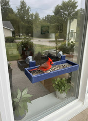 blue window mounted bird feeder with cardinal eating at the tray.