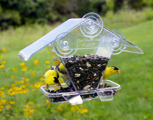 Window Café Hopper in use by goldfinches