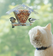 Cat observing birds at a bird feeder with a blurred green background