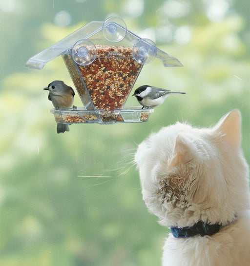 Cat observing birds at a bird feeder with a blurred green background