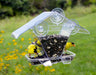 Window Café Hopper in use by goldfinches