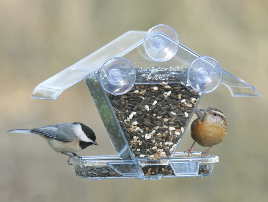 Window Café Hopper in use by chickadee and wren