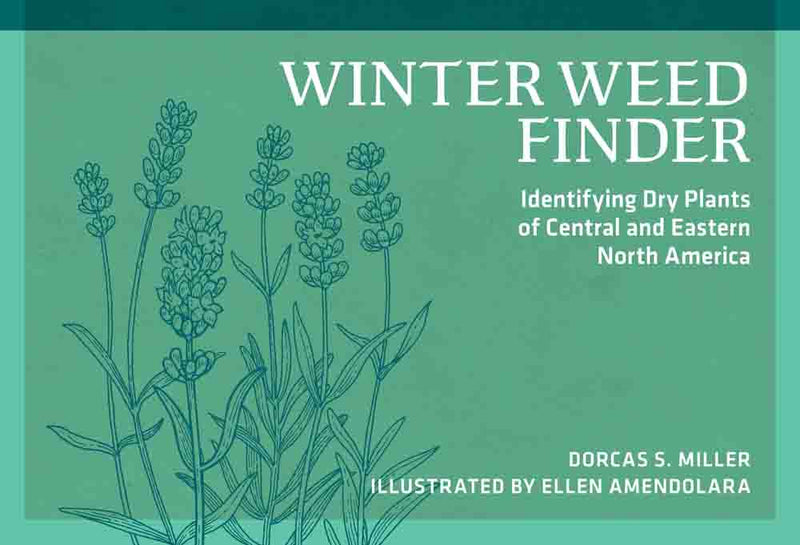 Winter Weed Finder second edition cover