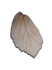 Stoneware Trinket Dish - Witch Hazel - tiny