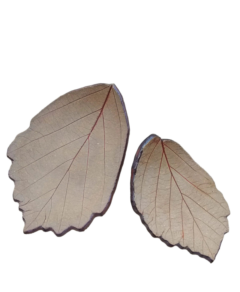 Stoneware Trinket Dish - Witch Hazel - size comparison