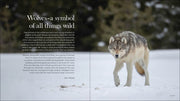 Wolves, Coyotes & Foxes - sample pages