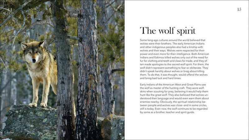 Wolves, Coyotes & Foxes - sample pages