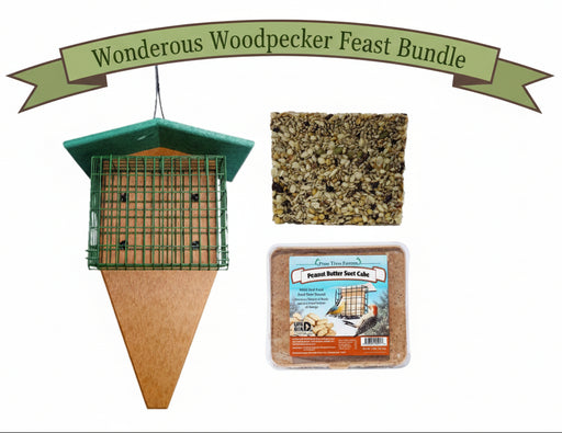 Wonderous Woodpecker Feast Bundle including double suet/seed cake feeder, woodpecker favorite seed cat, and peanut butter suet cake