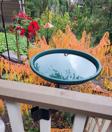 Wood Baluster Bird Bath Bundle