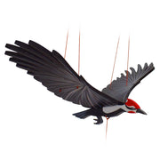 Pileated Woodpecker Bird Flying Mobile