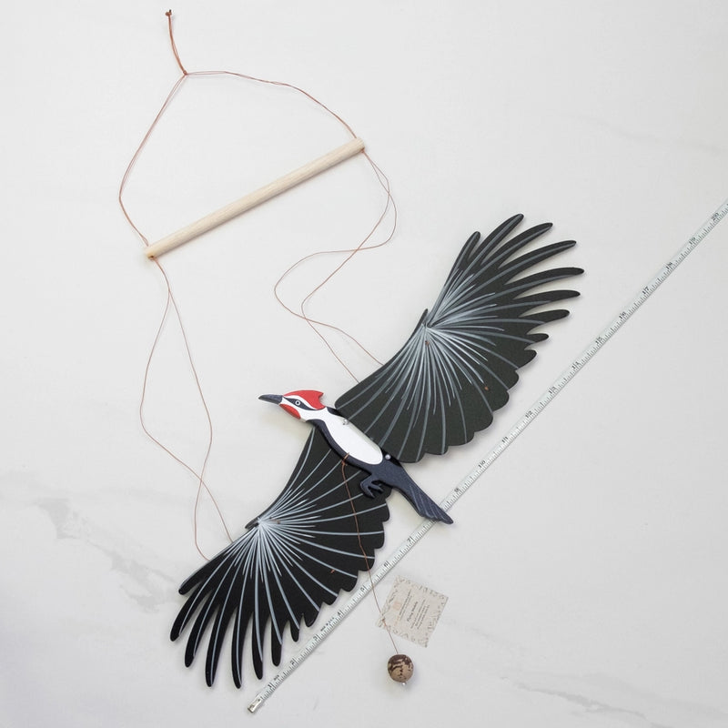 Pileated Woodpecker Bird Flying Mobile