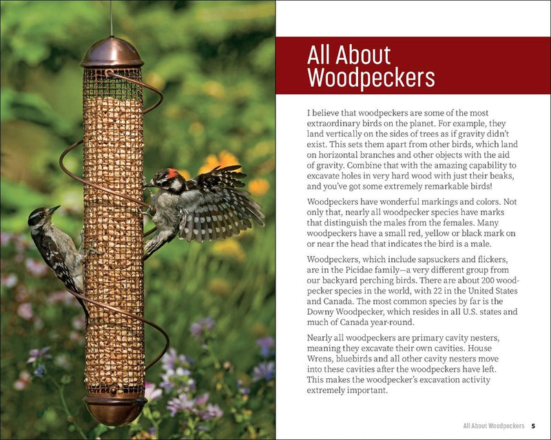 Bird feeder with two woodpeckers on a blurred natural background, accompanied by educational text about woodpeckers.