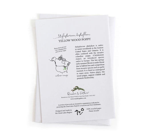 yellow wood poppy information on the back of card