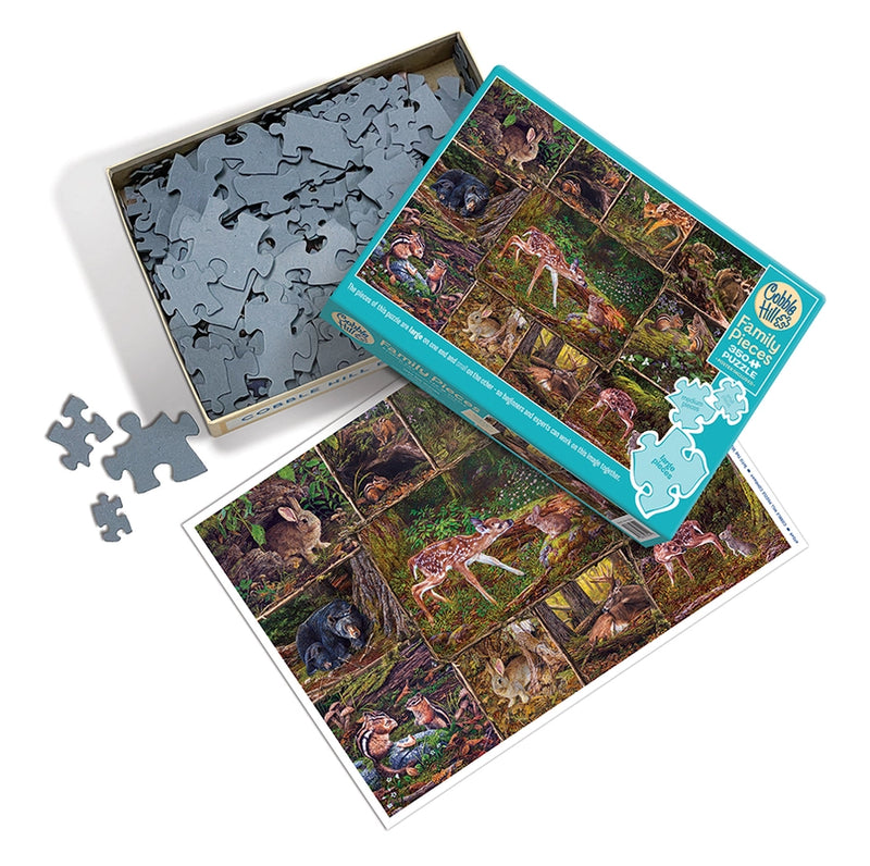 puzzle box with puzzle pieces and a print of what the puzzle looks like 