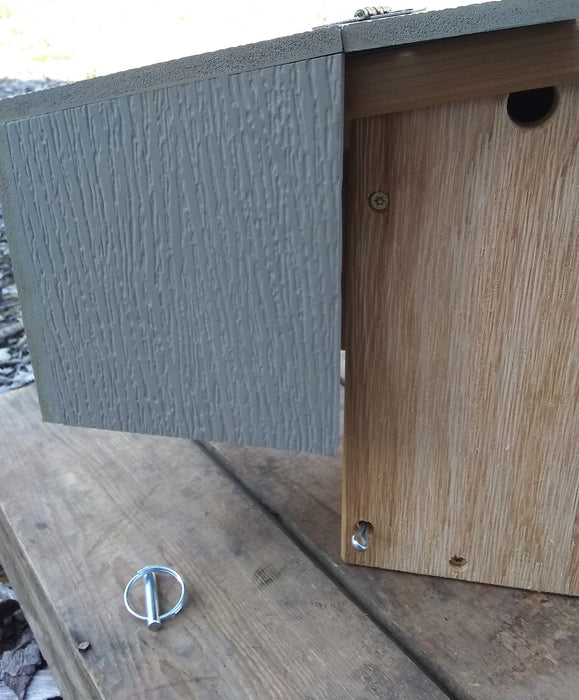 Wren Guard for Slope Roofed Nest Boxes - with the shield down