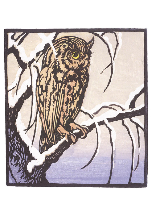 William S. Rice: Long Winter's Night Holiday Card Assortment
Owl on Branch