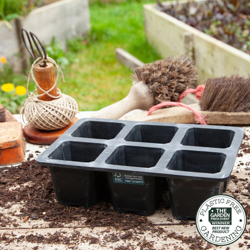 Natural Rubber Seed Tray - 6 Cell XL