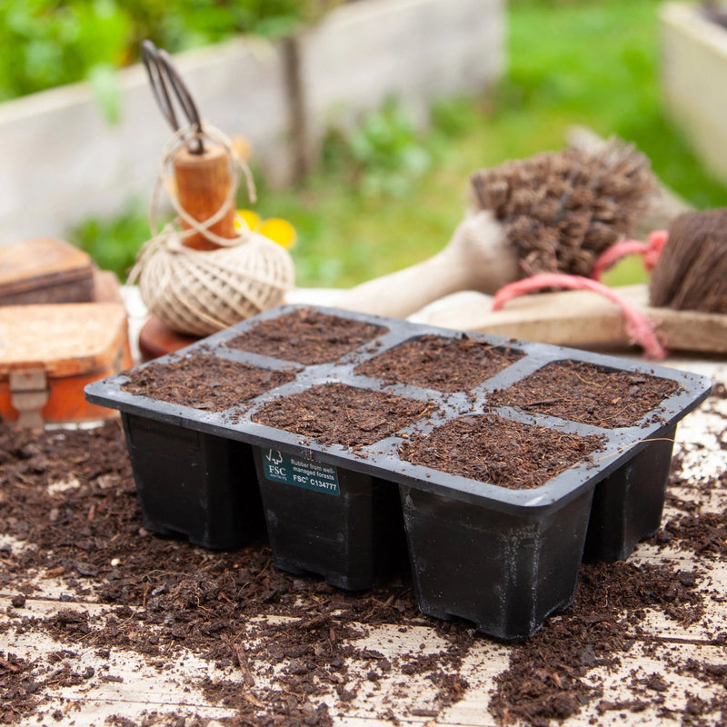 Natural Rubber Seed Tray - 6 Cell XL