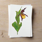 yellow lady slipper illustrated greeting card