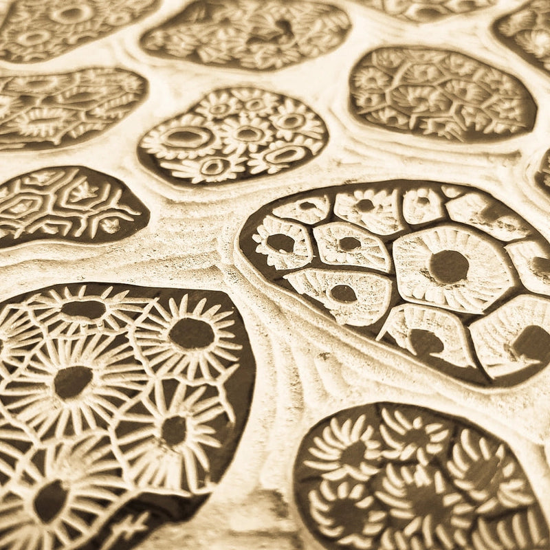 Linocut Rocks You Rock! Thank You Card - Linocut Petoskey Stones — Nature Niche