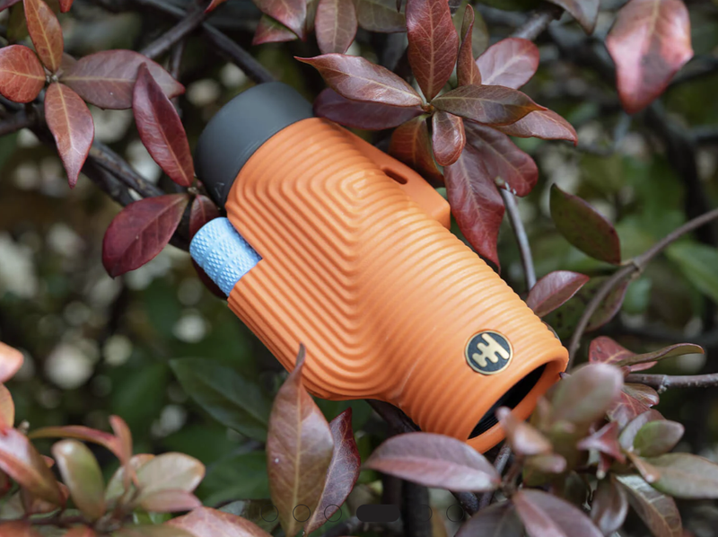 zoom tube orange in the leaves