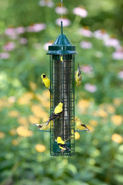 brome finch feeder