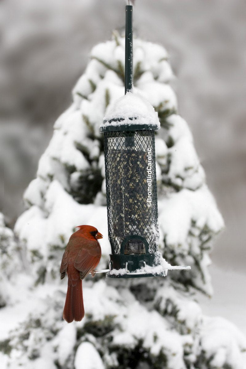 Squirrel proof bird feeder