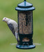 Squirrel buster standard bird feeder