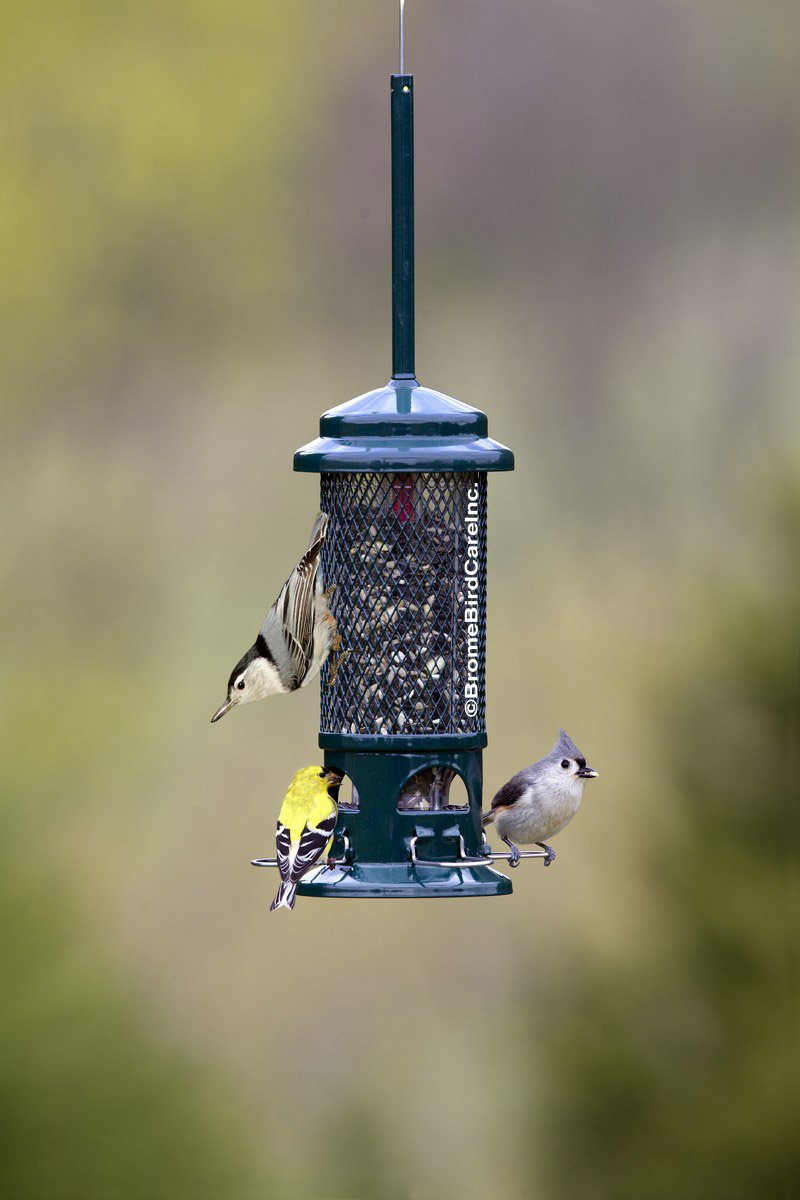 Brome Squirrel Buster Standard Bird Feeder - Thumbnail 4