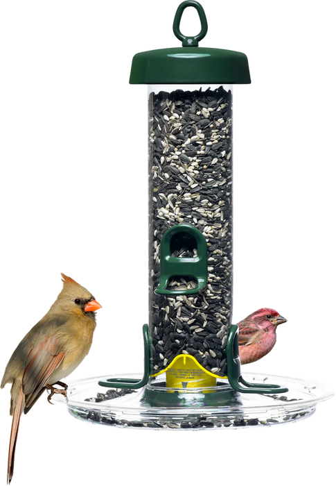 Tube Solution 150 with the Tube Solution Seed Tray, female cardinal, and house finch