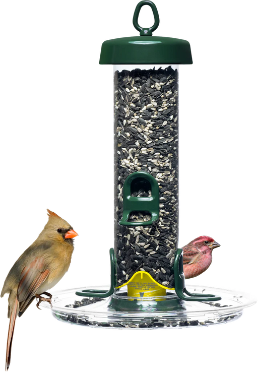 Tube Solution 150 with the Tube Solution Seed Tray, female cardinal, and house finch