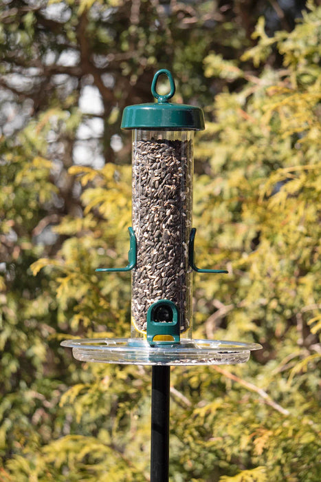 Tube Solution Seed Tray attached to Tube Solution 150 feeder and pole mounted